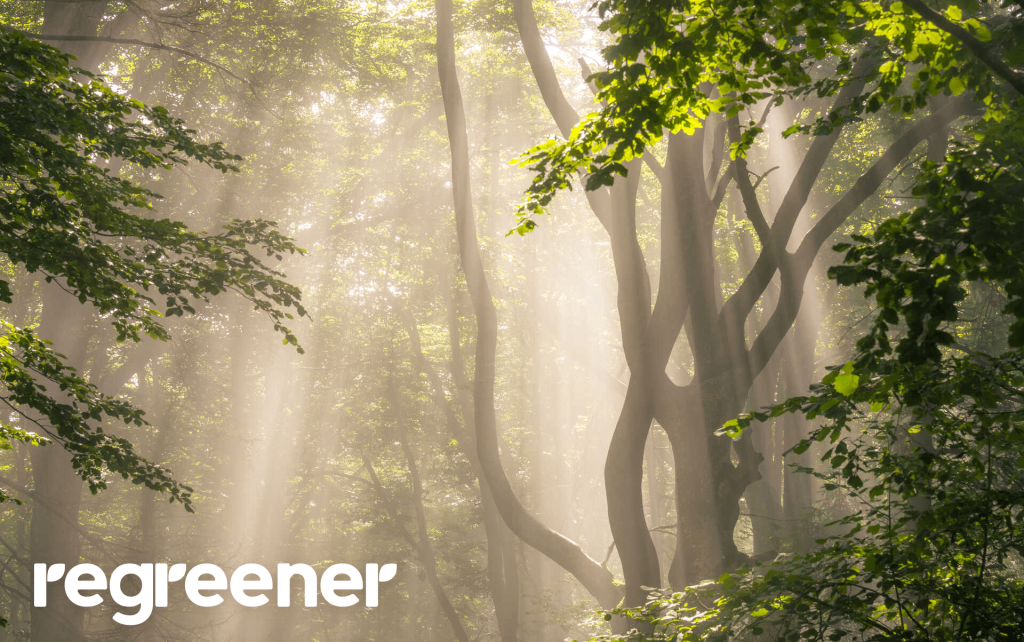 regreener