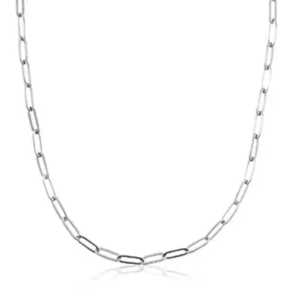 Ketting Roestvrij Staal Plating Zilver