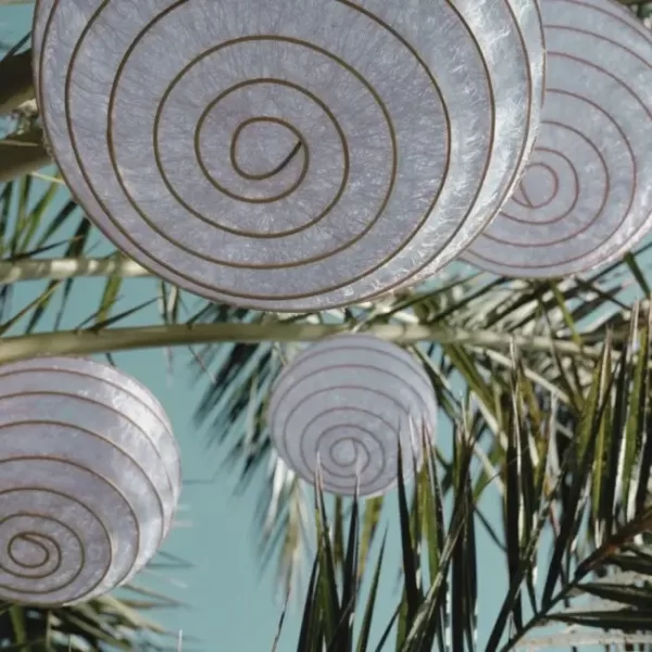Lampion Wit | 25cm - Afbeelding 4