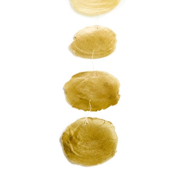 Schelpenslinger Capiz Medium | Goud