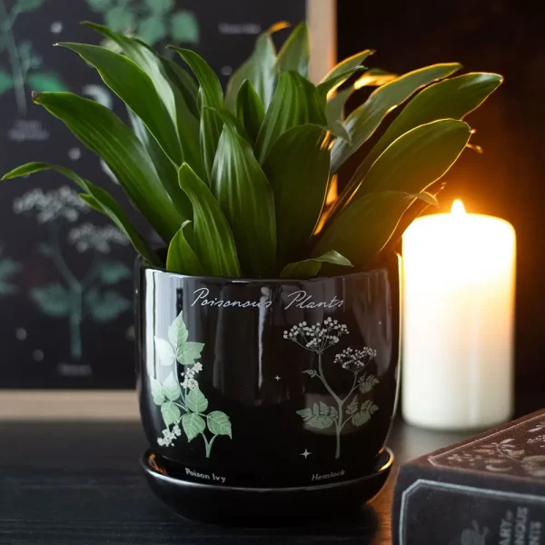 Plantenpot | Giftige Planten - Afbeelding 2