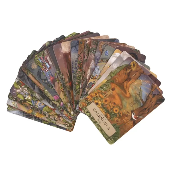 Herbal Astrology Oracle Cards - Afbeelding 2