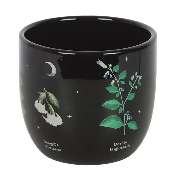 Plantenpot | Giftige Planten - Afbeelding 4