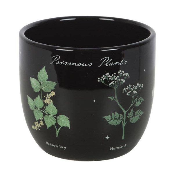 Plantenpot | Giftige Planten