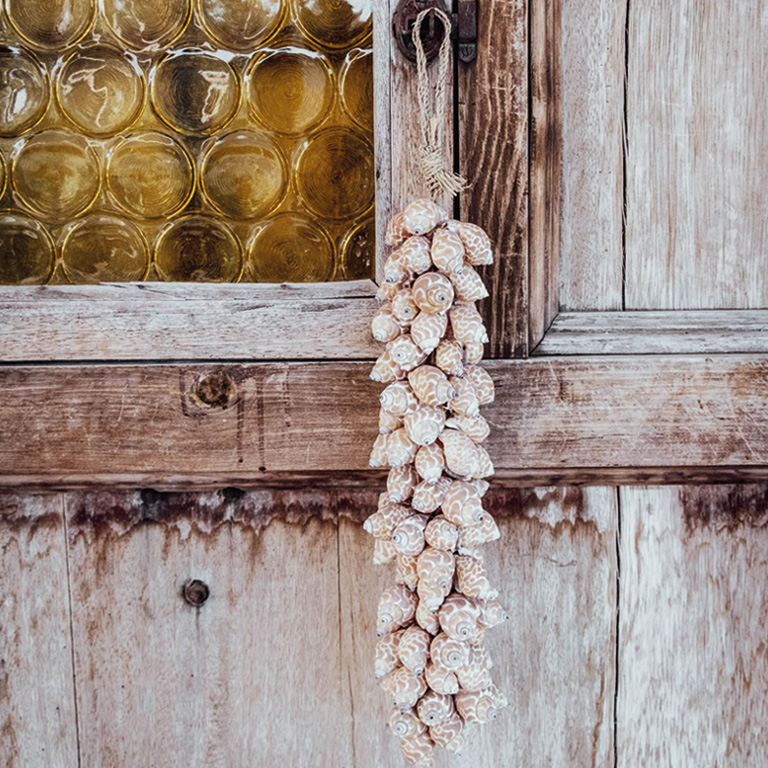 Schelpstreng Lichtbruin | 30 cm - Afbeelding 3