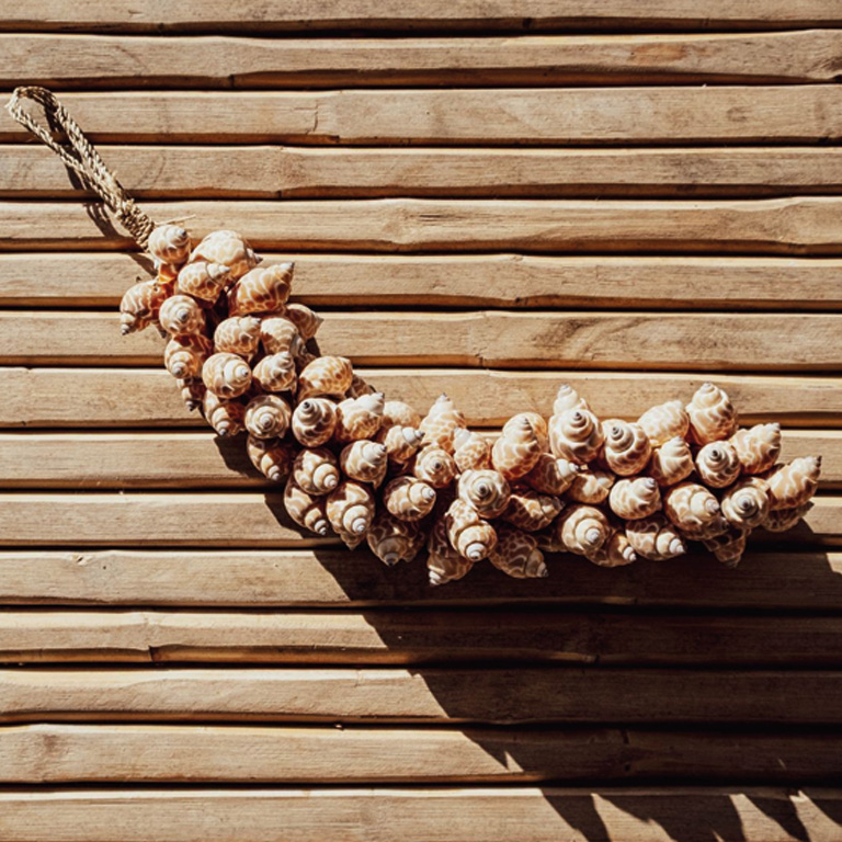 Schelpstreng Lichtbruin | 30 cm - Afbeelding 2